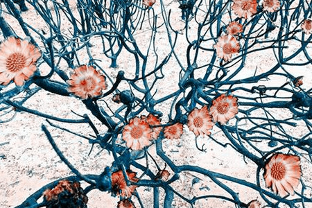 如何判斷攝影公司拍攝的質(zhì)量好壞？